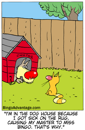 Dog House