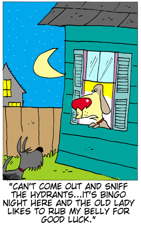 Lucky Foofer