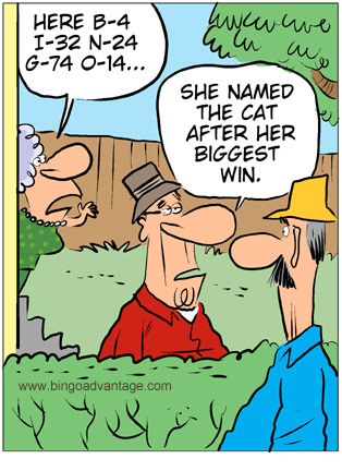 Cats Name